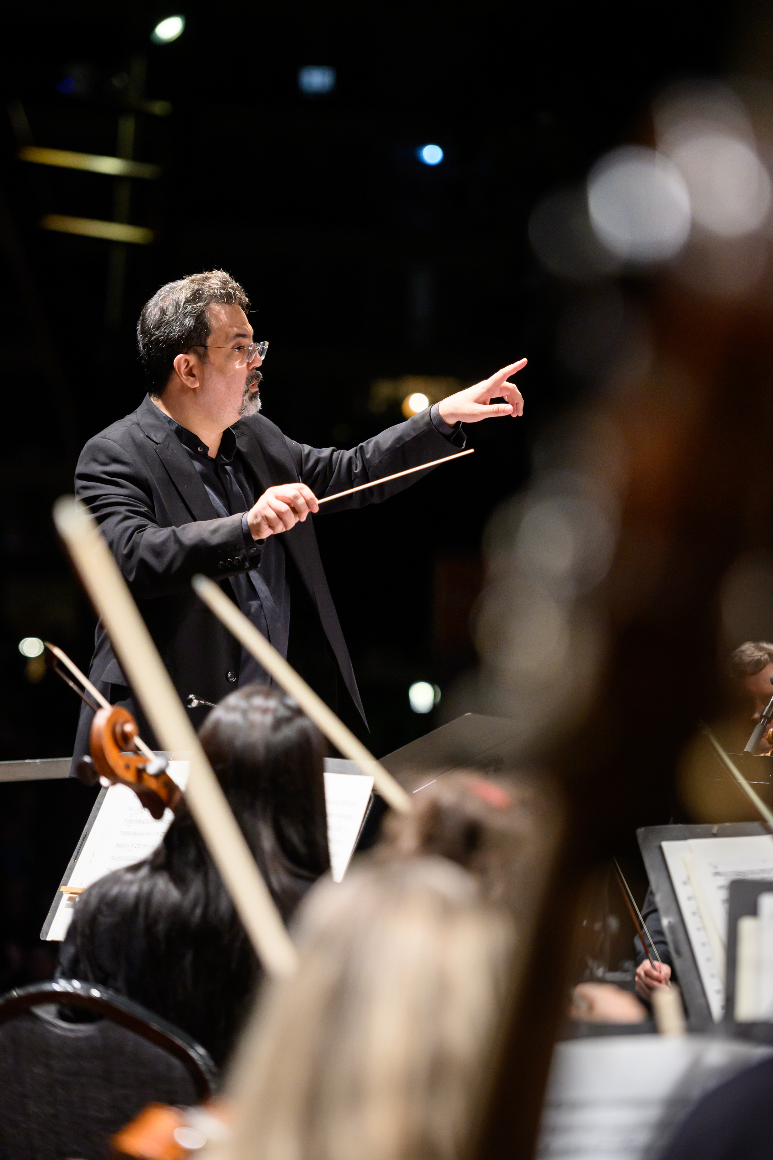 Descripción de la imagen